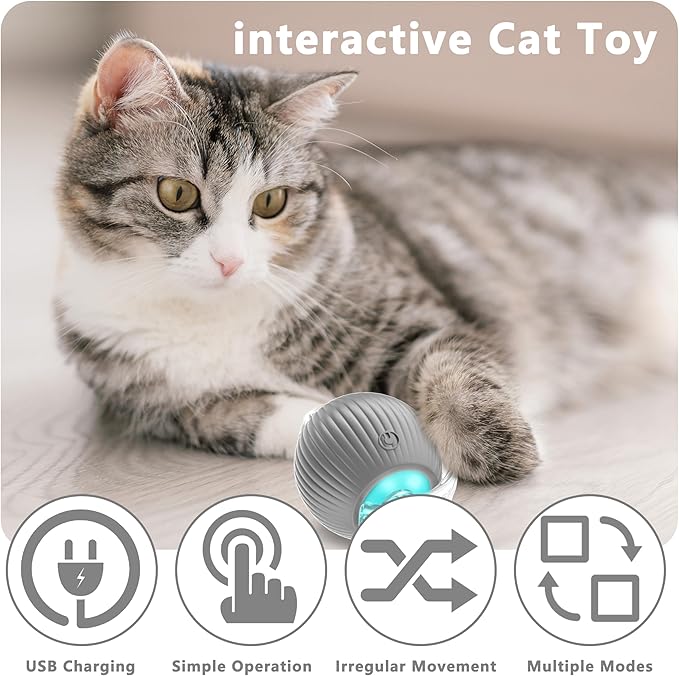 Interactive Cat Ball Toys,Indoor Moving Cat Toys, Automatic Rolling Toy with Cord, Interesting Rotating Ball Toy for Dogs and Cats (Gray)
