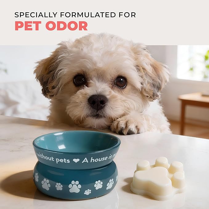 Pet House Vanilla Crème Brulee Wax Melts - Long-Lasting Scented Wax Melts Plant Based, Pet Friendly Pack of 2
