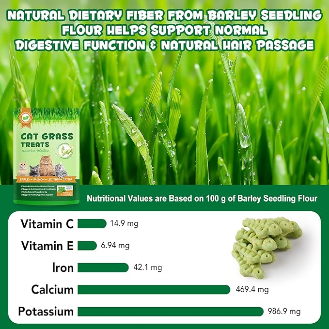 180g/6.4oz Cat Grass Dental Treats for Hairball Control, Natural Teeth Cleaning & Fresh Breath, Crunchy Catnip Flavored Biscuits with Barley Grass, Cat Training Rewards for All Breeds