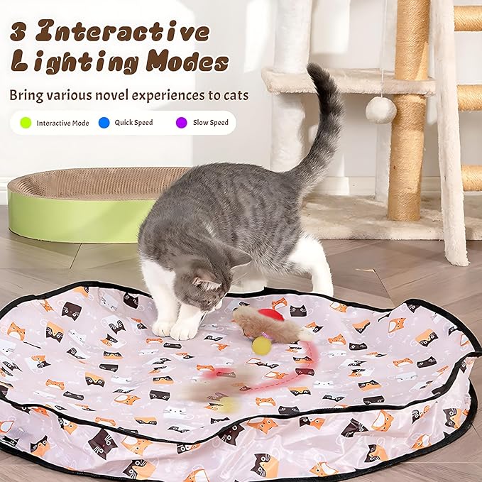 Interactive Cat Toys with Fast Rolling Cat Ball in Pouch, Rechargeable Smart Motion Hunting Toy, Activated Moving Ball Hide and Seek Exercise Game for Indoor Bored Cats Stress Relief