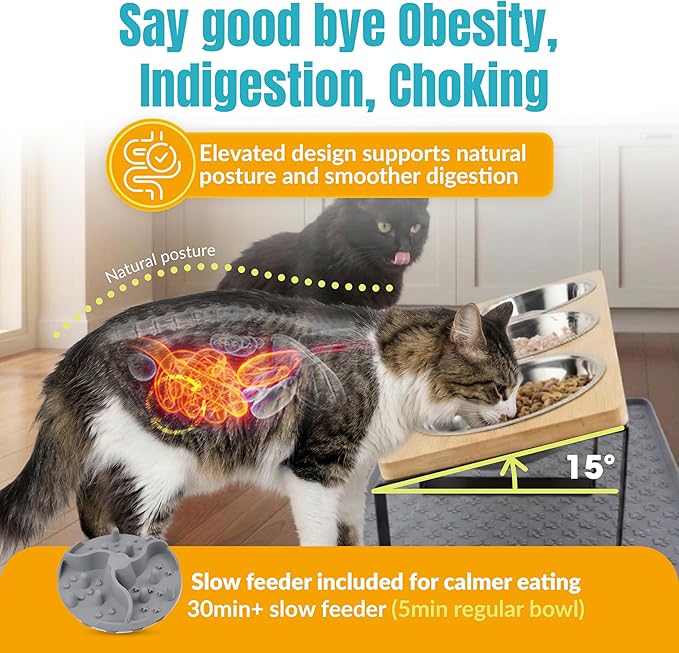 3 Bowl Cat Feeding Station-Cat Bowls Elevated-15° Tilted Cat Food Bowls-Raised Cat Bowls with Anti Slip Mat & Cat Slow Feeder Included–Anti-Vomiting Raised Slow Feeder Cat Bowl-Comedero para Gatos