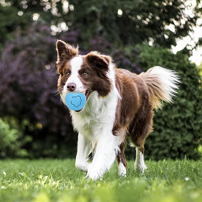 Interactive Dog Ball, Automatic Rolling Ball Toy for Dogs Cats with Intelligent Playtime, Bite, Portable Fun, Health Promotion, Boredom Relief, for Small Medium Large (Blue)