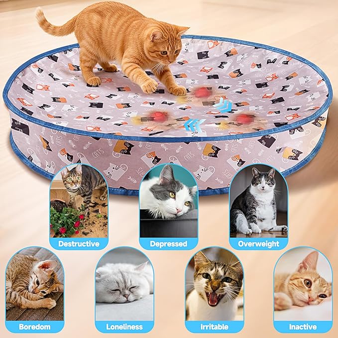 Interactive Cat Toy Ball Track, Interactive Cat Toy Automatic Moving with Motion Activated Hide Seek Rolling Chase for Indoor Play Rechargeable Blue