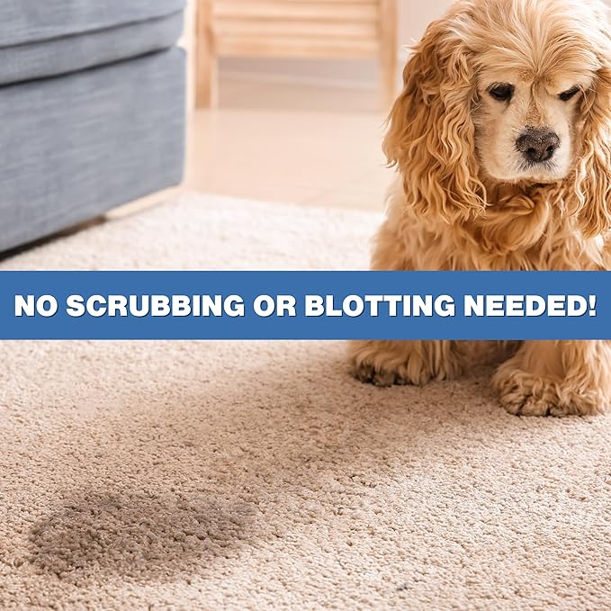 Instantly Urine Odor Remover for Pets - Eliminator for Cat & Dog Pee, Best Oxidizer Based Urine Cleaner for Carpets, House, Rugs, Mattress, etc. 2-128 Oz (2 Gallons)
