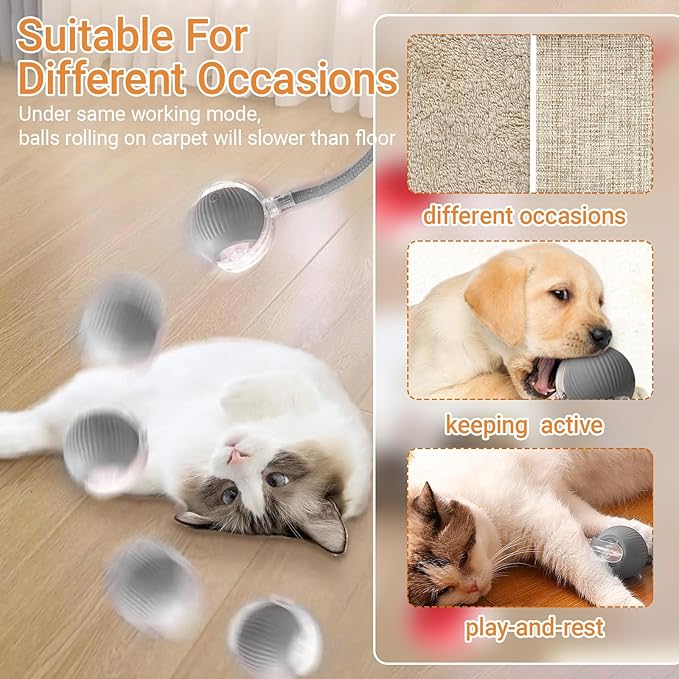 2025 New Interactive Dog Cat Toys Balls, Interactive Rolling Ball Cat Toy, 360° Smart Automatic Rolling Pet Ball (Grey, one Size)
