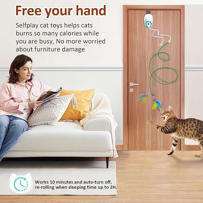 Cat Toy Feather and Mylar Crinkle Balls for Indoor Cats, Rechargeable Door Hanging Retractable Kitten String Toys,Electronic Self Play Cat Teaser Toy