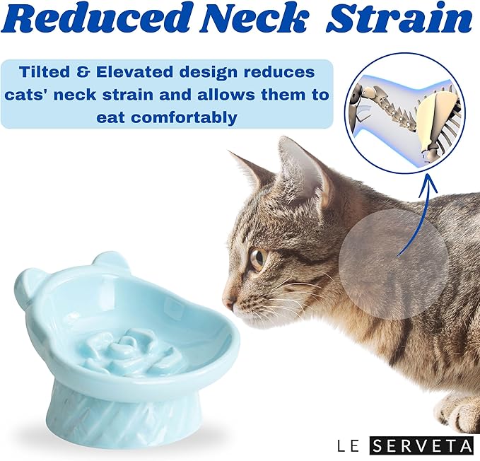 Winnie The Pooh Series Ceramic Slow Feeder Cat Bowl, Raised Anti-Gulping Design with Bear Ears, Pastel Colors, Quilted Pattern Base (Blue)