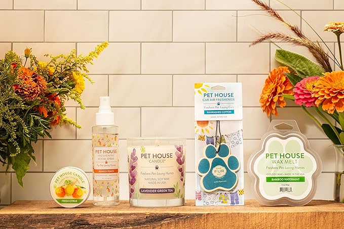 One Fur All Pet House Value Pack – Plant-Based Soy, Clean Burning, Long-Lasting Pet Odor Candle for Home – Sunwashed Cotton