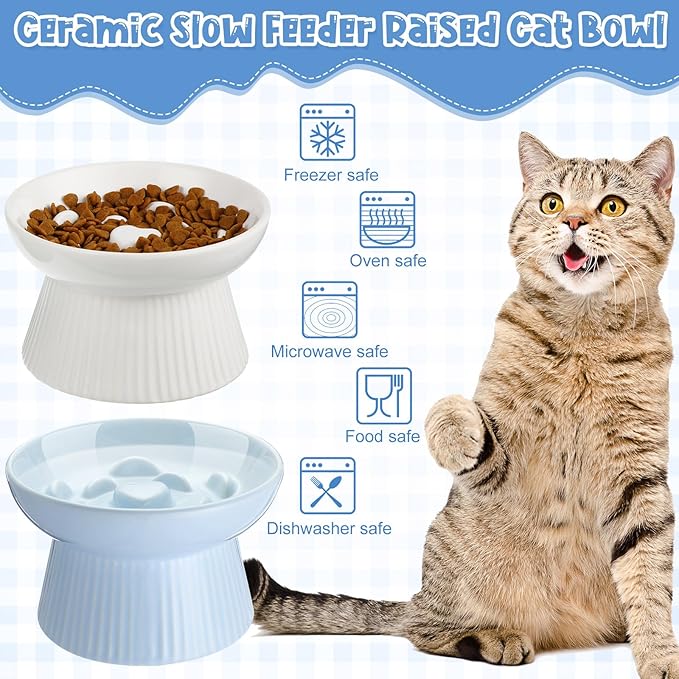 Tioncy 2 Pcs Raised Cat Slow Feeder Bowl Ceramic Elevated Cat Dog Food Bowl No Spill High Edge for Dry Wet Food and Water Easy to Clean, Dishwasher Safe (White,Blue)