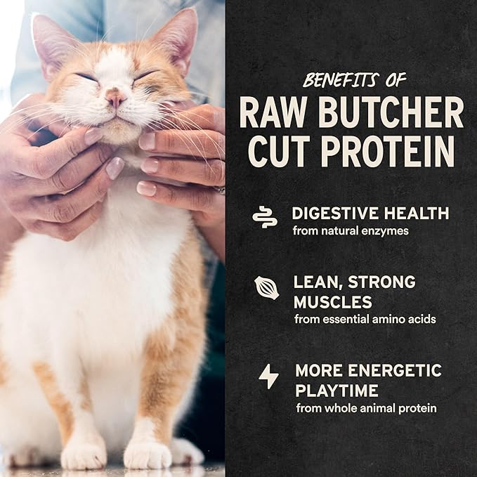 Vital Essentials Freeze Dried Cat Treats | Chicken Breast, Single Ingredient | Premium Quality | Grain Free, Healthy Treats for Cats, 1 oz Bag