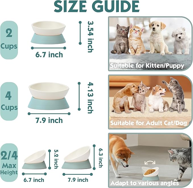 French Bulldog Food Bowl- Slanted Tilted Pug Food Water Bowl,Cat Bowl- Feeder for Frenchie/Shih Tzu/Flat Faced Small Dogs/Puppies/Cats (Green, 4 Cup)