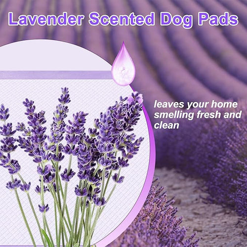 Boscute Lavender Scented Super Absorbent & Leak-Proof Puppy Pads, 36"x36" Odor Control Pet Training Dog Pee Pads, Thicken Quick Dry Pee Pads, Potty Training Pads for Dogs Cats (Lavender Scented)