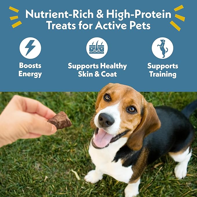 Fresh Is Best Duck Heart Freeze Dried Dog Treats – Raw Freeze Dried Cat Treats in Resealable Zipper Bag – High-Protein for Dogs & Cats – Made in The USA