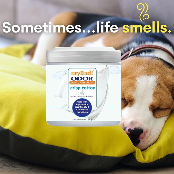 my Bad! Odor Eliminator Essential Oil Gel 15 oz - Air Freshener - Eliminates Odors in Bathroom, Pet Area, Closets, RVs, Pet Areas (Crisp Cotton, 1 Pack)