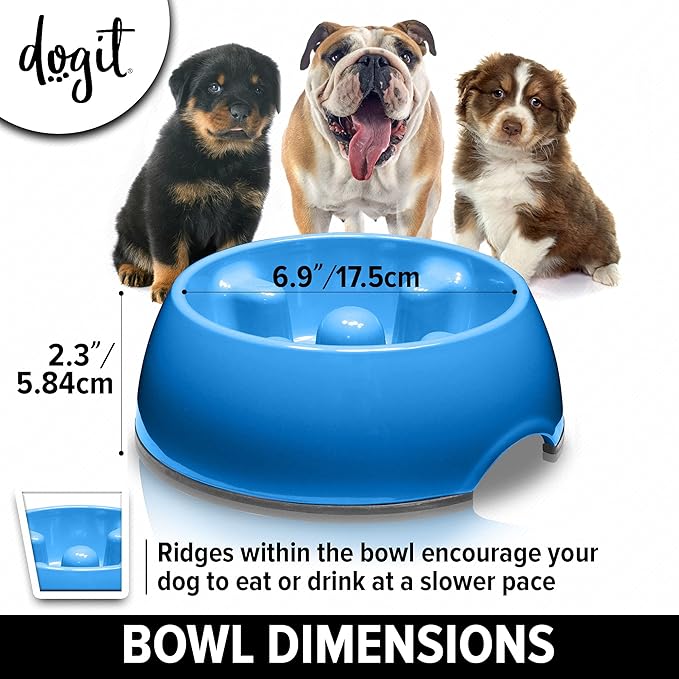 Dogit Dog Bowl Slow Feeder for Wet or Dry Dog Food, Go Slow Anti-Gulping Dog Dish, Blue, S