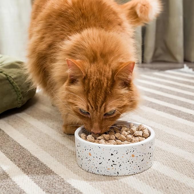 Open Farm, Freeze Dried Raw Cat Food, Complete Meal Morsels or Cat Treats with 92% Meat, Organs & Bone, Chicken & Salmon Recipe, 9oz Bag