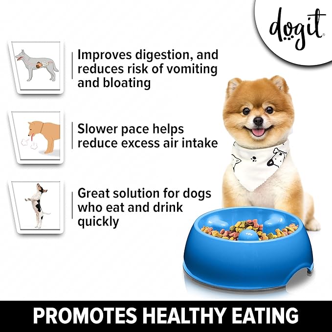 Dogit Dog Bowl Slow Feeder for Wet or Dry Dog Food, Go Slow Anti-Gulping Dog Dish, Blue, S