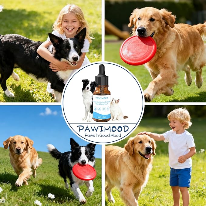 Concentrated Waterless Shampoo Essence with Pink Grooming Glove, No-Rinse & Lick-Safe Essence for Steam Brushes, Gentle Care for Cats/Kittens/Seniors, Manage Shedding & Freshness,0.34oz*1
