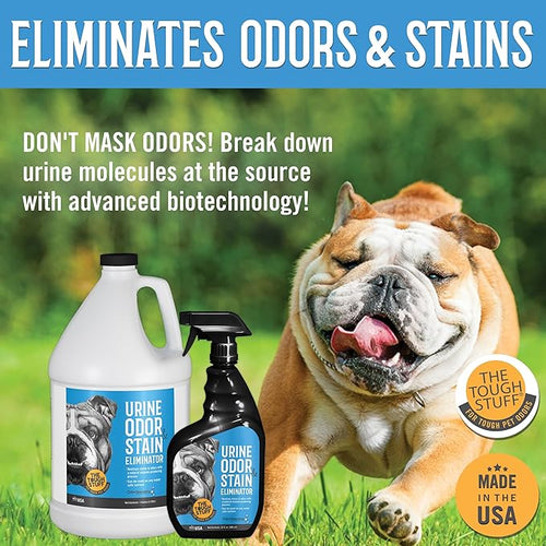 Arkwright Tough Stuff Urine Odor & Stain Eliminator Spray - Pet Safe Enzyme-Based Non-Toxic Cleaner for Floors, Carpets, and Furniture, 32 Fl. Oz. Spray Bottle, Fresh Scent