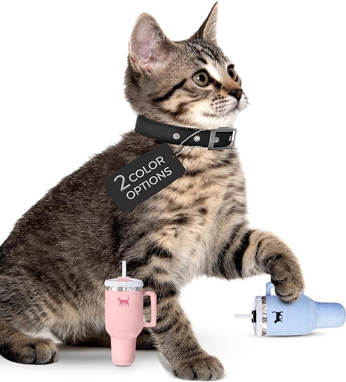 PUPROAR Kitty Cup Catnip Toy - Easter & Birthday Cat Gift Toy with Catnip & Crinkle, Funny Gift for Girl Indoor Kitten (Chambray Blue)