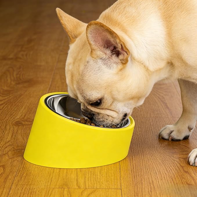 French Bulldog Bowl (15° Tilted) - Anti-Choke Slow Feeder for Flat-Faced Dogs, Non-Spill Non-Skid Weighted Base, Large 750ml (Yellow)