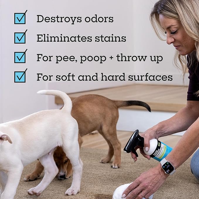 Pet Life Unlimited SuperFoam Spray, Carpet and Surface Cleaner for Dog Urine, 16 oz, Strong Odor & Stain Remover, Plant-Based Formula, Natural Juniper Leaf Scent, Two-Way Spray, USA Made (Pack of 1)