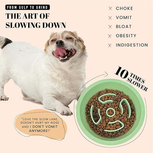 AVERYDAY Slow Feeder Dog Bowls for Medium Breeds Fits Raised Feeding Station, Puzzle Dog Food Bowls to Slow Down Eating, Dogs Feeding Bowl with Non-Slip, Slows Feeder Pet Bowl for Wet and Dry Food