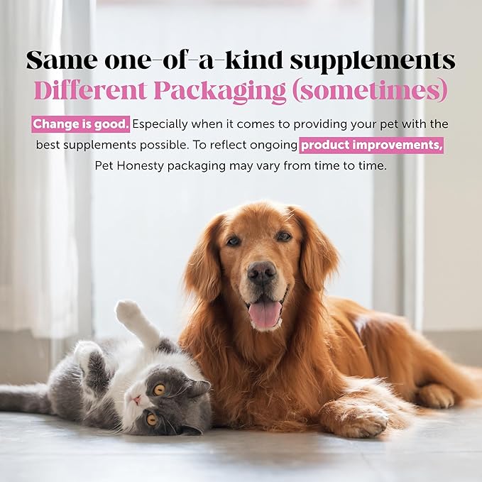 Pet Honesty Hip & Joint Turmeric Health - Joint Supplement for Dogs, Omega-3 Fish Oil, Turmeric to Support Overall Health & Ease Stiffness - Advanced Pet Mobility Support - 90 Ct (Pumpkin)