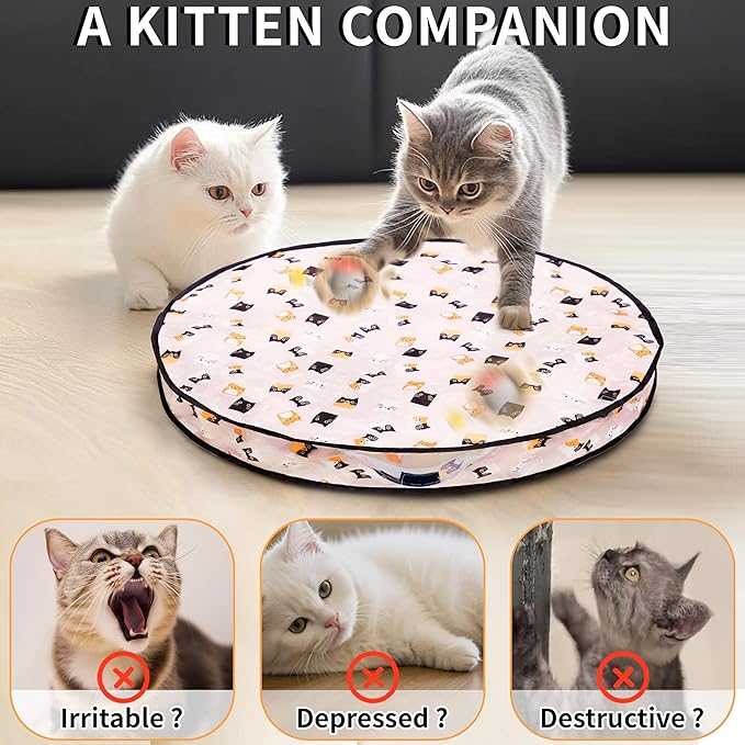 2 Packs Interactive Cat Toy Ball - Automatic Moving Cat Toys for Indoor Cats, USB-C Charging & Self-Rolling Hunting Game Toy with Quiet Motor, Fast Moving Ball in Cat Play Mat