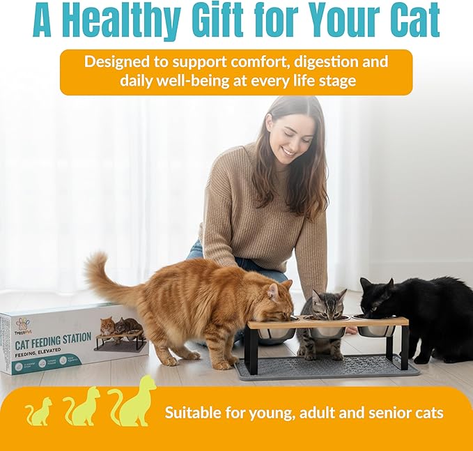 3 Bowl Cat Feeding Station-Cat Bowls Elevated-15° Tilted Cat Food Bowls-Raised Cat Bowls with Anti Slip Mat & Cat Slow Feeder Included–Anti-Vomiting Raised Slow Feeder Cat Bowl-Comedero para Gatos