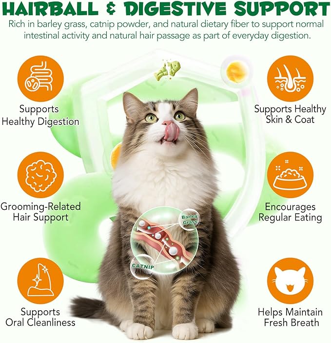 180g/6.4oz Cat Grass Dental Treats for Hairball Control, Natural Teeth Cleaning & Fresh Breath, Crunchy Catnip Flavored Biscuits with Barley Grass, Cat Training Rewards for All Breeds