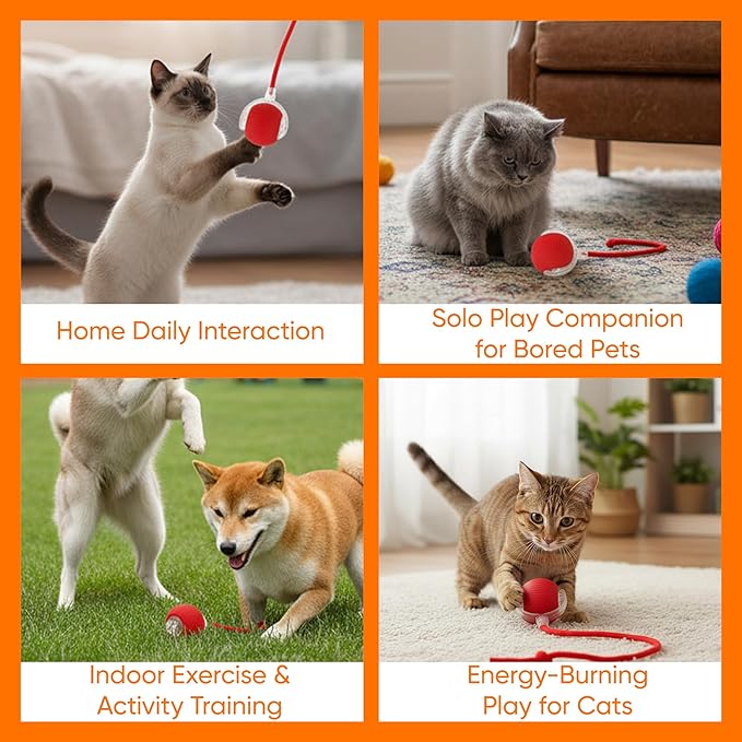 Smart Automatic Rolling Pet Ball, Interactive Electric Toy with Smart Sensor & Auto-Dodging, 6 Hours Playtime Rechargeable for Dogs & Cats (RED,1PCS)