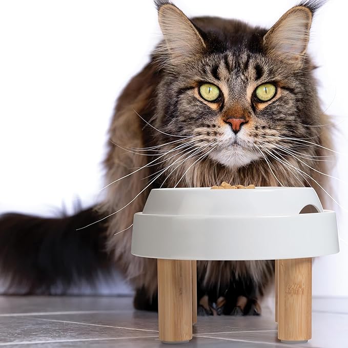 CatGuru Food Table for Cat Bowls, Elevated Feeding Station for Cat Food Bowl, Raised Stand for Food and Water Bowls, Pet Feeder for Indoor Cats, Stress Free Stand for Pet Dishes (Marshmallow, High)