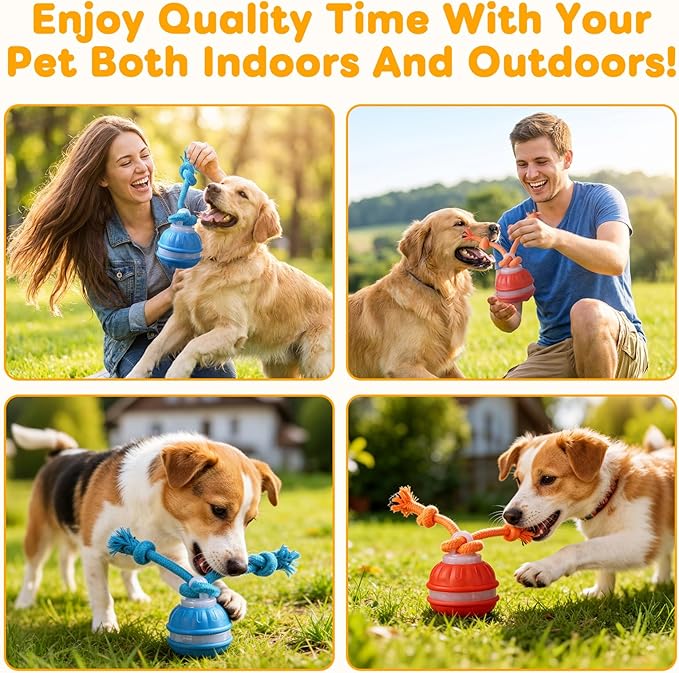 Interactive Dog Toy with Motion Activated, Automatic Rolling and Bouncing Moving Dog Toy, Squeaky Rolling Balls with Flashing Light, USB Rechargeable Chew Toys Pet Ball to Keep Them Busy