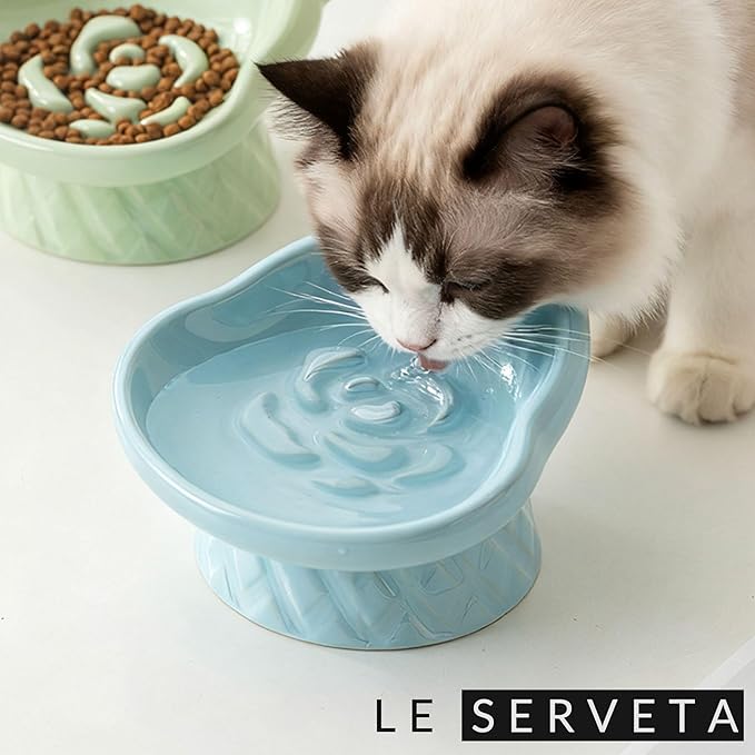 Winnie The Pooh Series Ceramic Slow Feeder Cat Bowl, Raised Anti-Gulping Design with Bear Ears, Pastel Colors, Quilted Pattern Base (Green)