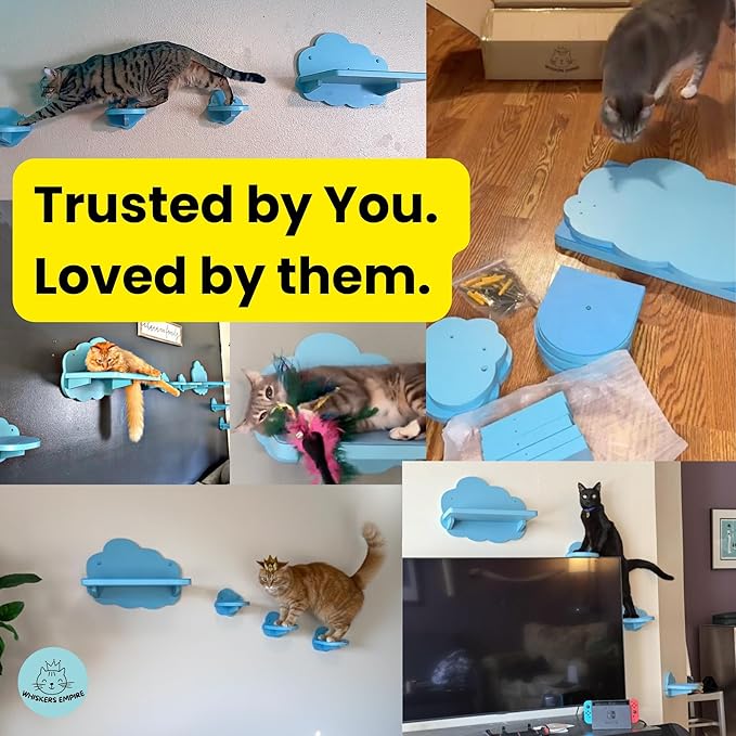 Cat Wall Shelves & Furniture – Sturdy Wall Mounted Cat Furniture, Floating Cat Shelves, Cat Wall Steps & Perches for Indoor Cats (Cloud Blue)
