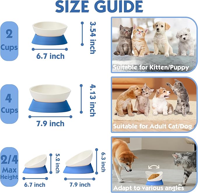French Bulldog Food Bowl- Slanted Tilted Pug Food Water Bowl,Cat Bowl- Feeder for Frenchie/Shih Tzu/Flat Faced Small Dogs/Puppies/Cats (Blue, 2 Cup)