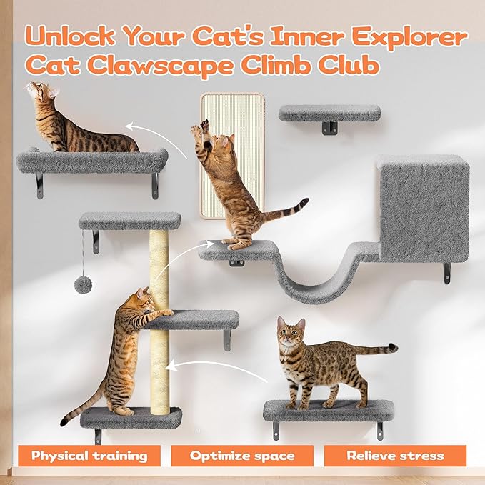6-in-1 Wall Mounted Cat Climber Set for Heavy Cats,Wall Shelves,Stable & Safe Cat Furniture Set for Large Cats, Wooden Climbing Wall with Scratching Post (Grey)