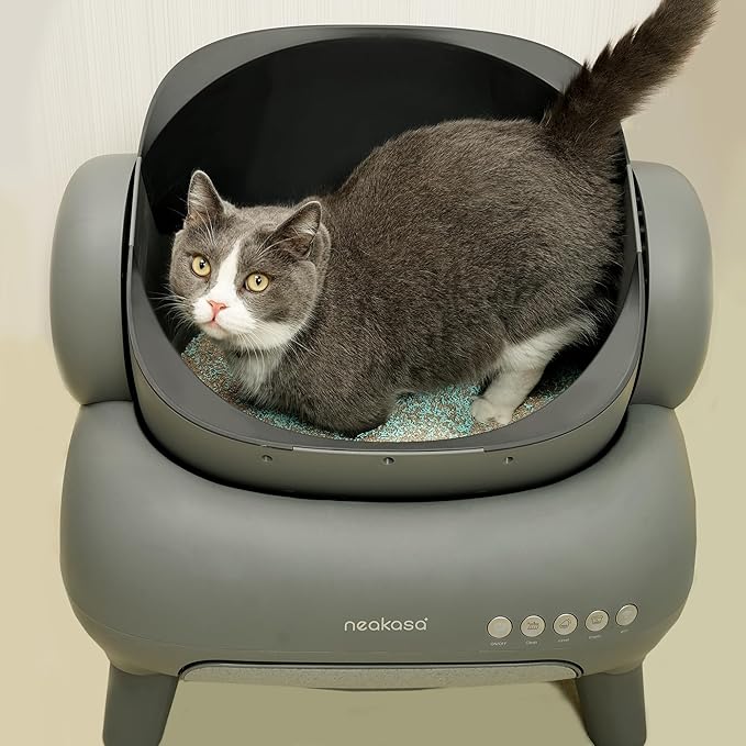Cat Litter Deodorizing Granules, Cat Litter Box Odor Eliminator, Cat Litter Odor Control for Home