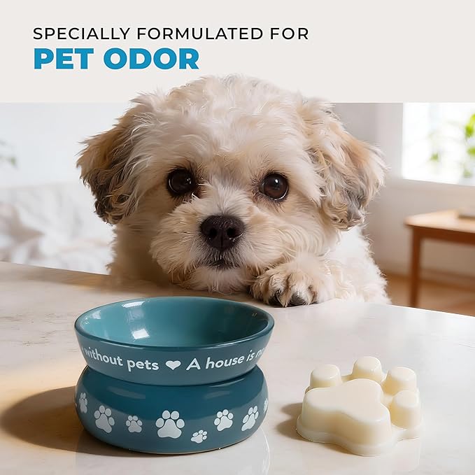 Pet House Sunwashed Cotton Wax Melts - Long-Lasting Plant Based Fresh Linen Scented Wax Melts Pet Friendly Pack of 4
