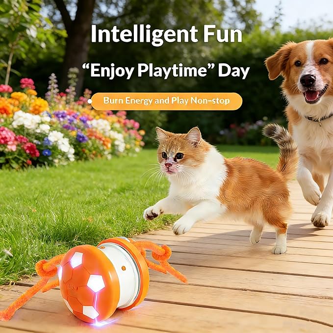 Interactive Cat Toy Ball, Motion Activated Smart Rolling Toy for Indoor Cats, Rechargeable Interactive Toy Ball for Indoor Cats Exercise, Automatic Moving Ball for Boredom to Keep Cats Busy