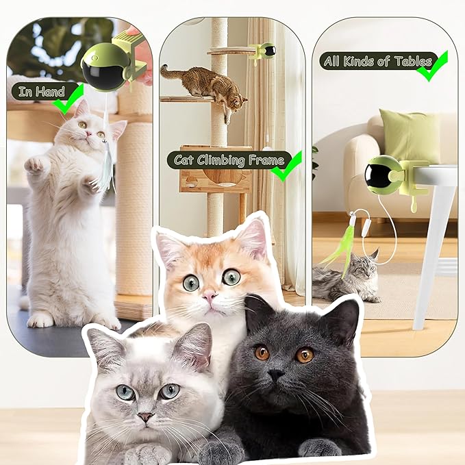 Interactive Cat Toys for Indoor Cats, Hanging Automatic Kitten Feather Toys Retractable Rope, Cat Toys for Bored Indoor Adult Cats with Feather & Fluff Ball & Tassel