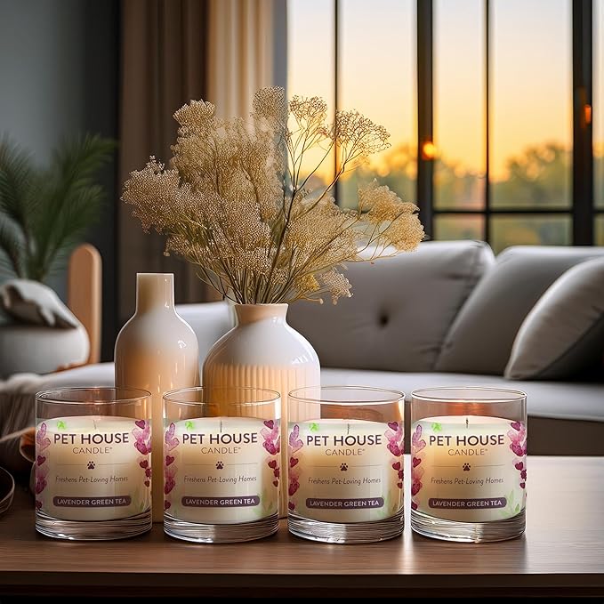 One Fur All Pet House Soy Candles, Clean Burning, Long Lasting, Plant-Based Pet Odor Candles, Lavender Green Tea, 4 Pack