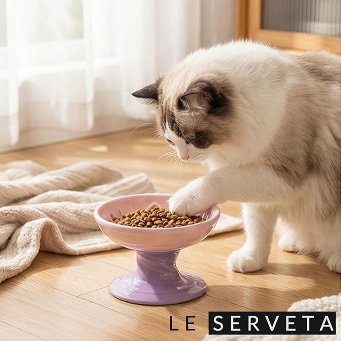 Elevated Twisting Design Cat Food Slow Feeder, Ceramic Raised Cat Dishes with Decorative Twisting Design Stand, Macaron Colors, Slow Feed Design (Pink Purple)