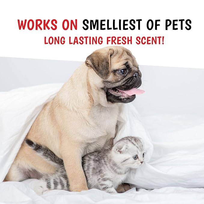 Warren London Wet Kiss Dog Cologne Spray – Pomegranate & Fig | Long-Lasting Odor Eliminator & Coat Freshener for Dogs & Cats | 16 oz