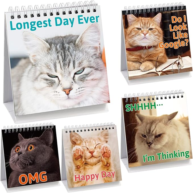 Fancy Land Funny Desk Signs for Kitten Lovers 30 Different Fun and Flip-Over Messages for Office Desk Accessories