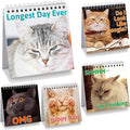 Fancy Land Funny Desk Signs for Kitten Lovers 30 Different Fun and Flip-Over Messages for Office Desk Accessories