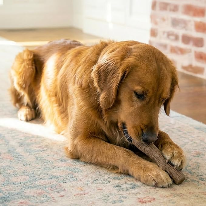 Pupstages Dogwood Dog Chew Toy – Real-Wood Blend, Natural Flavor & Texture, Moderate Chewers, Large, 8.4”