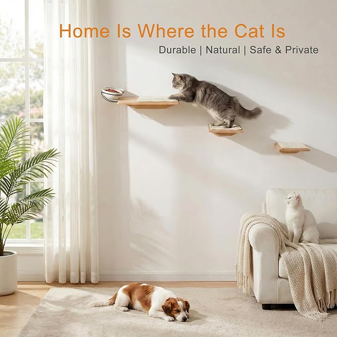 Wall Mounted Cat Shelves with Elevated Ceramic Feeding Station–Scandinavian Floating Design, Solid Plywood, Two Climbing Steps with Cotton Mats, Modern Cat Wall Furniture Set 300 ml Bowls