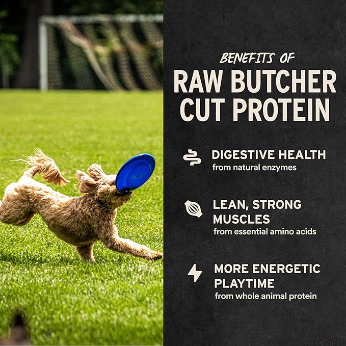 Vital Essentials Freeze Dried Minnows Dog Treats | Single Ingredient | Premium Quality | Grain Free Treats for Dogs, 1 oz Bag